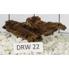 Dragonwood 22