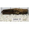 Dragonwood 23