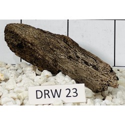 Dragonwood 23