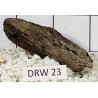 Dragonwood 23