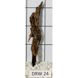 Dragonwood 24