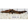 Dragonwood 24