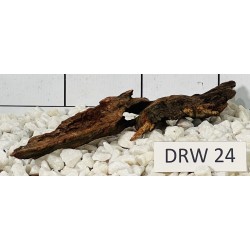 Dragonwood 24