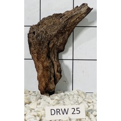 Dragonwood 25