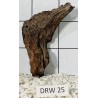 Dragonwood 25