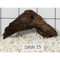 Dragonwood 25