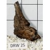 Dragonwood 25