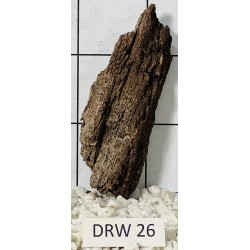 Dragonwood 26