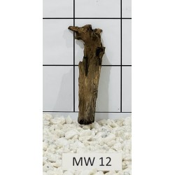 Mangrovewood 12