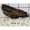 Dragonwood 26