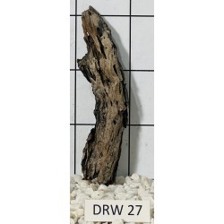 Dragonwood 27