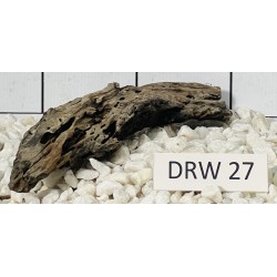 Dragonwood 27