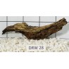 Dragonwood 28