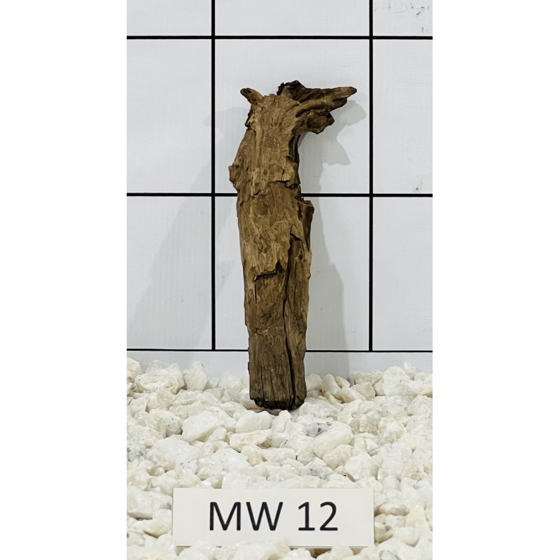 Mangrovewood 12