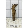 Mangrovewood 12