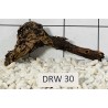 Dragonwood 30