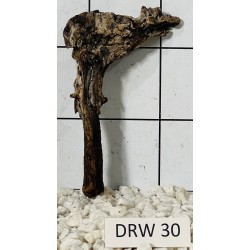 Dragonwood 30