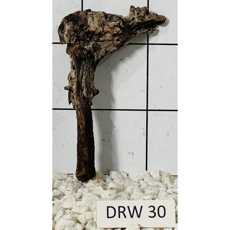 Dragonwood 30
