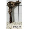 Dragonwood 30