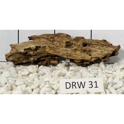 Dragonwood 31
