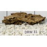 Dragonwood 31