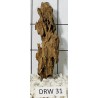 Dragonwood 31