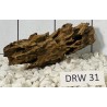 Dragonwood 31