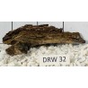 Dragonwood 32