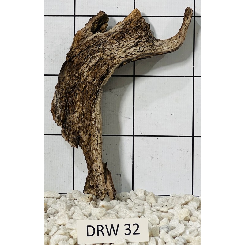 Dragonwood 32