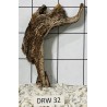 Dragonwood 32