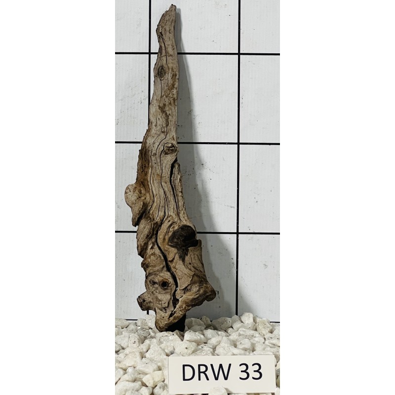 Dragonwood 33
