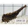 Dragonwood 33