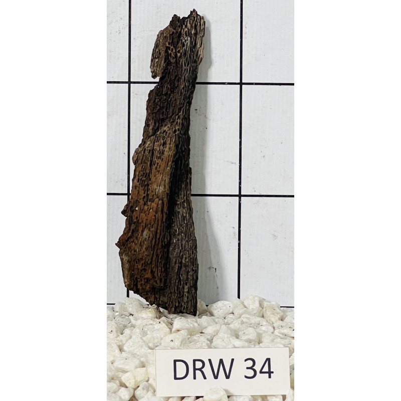 Dragonwood 34