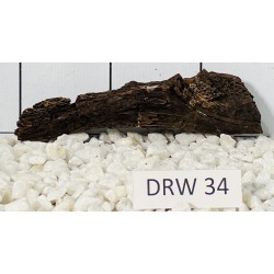 Dragonwood 34