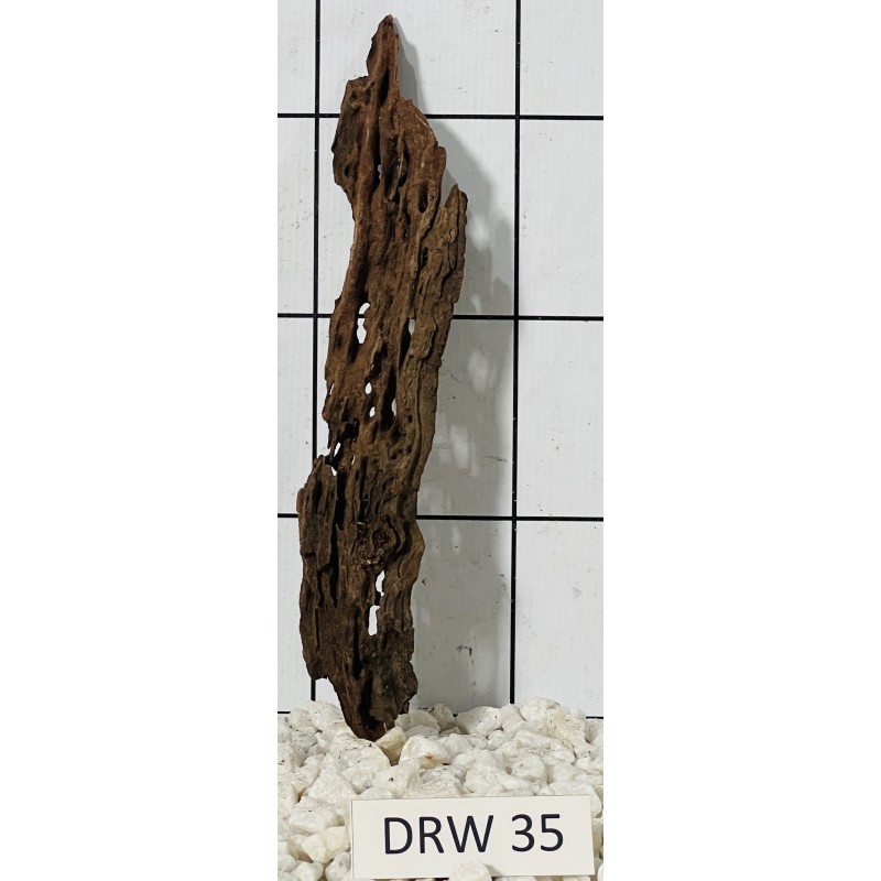 Dragonwood 35