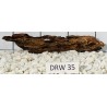Dragonwood 35
