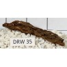 Dragonwood 35