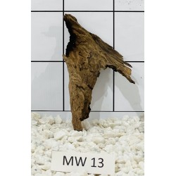 Mangrovewood 13