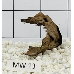 Mangrovewood 13