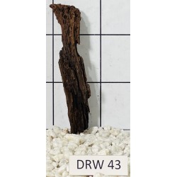 Dragonwood 43