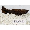 Dragonwood 43