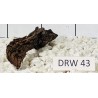 Dragonwood 43