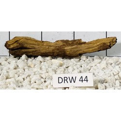 Dragonwood 44