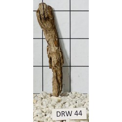 Dragonwood 44