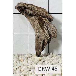 Dragonwood 45