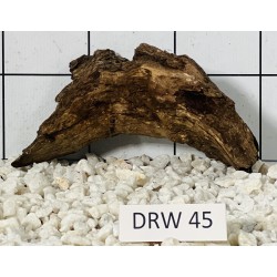 Dragonwood 45