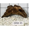 Dragonwood 45