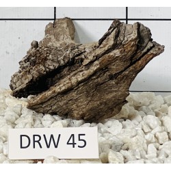 Dragonwood 45