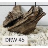 Dragonwood 45