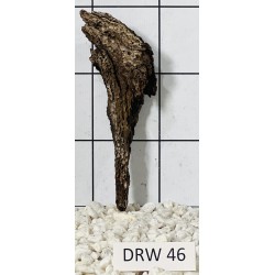 Dragonwood 46